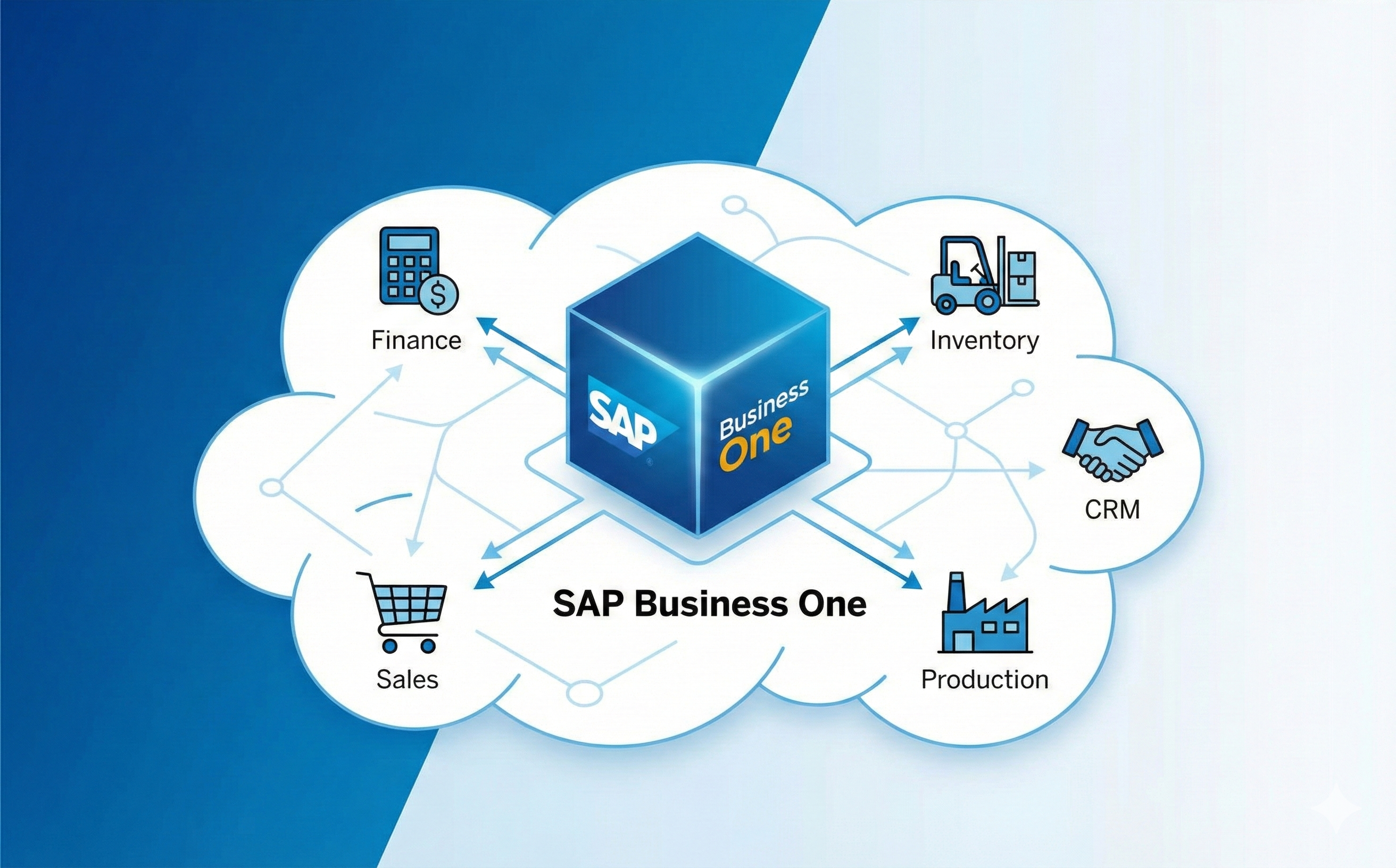 SAP Business One ERP
